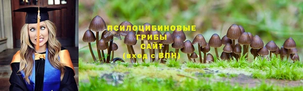 шишки Остров