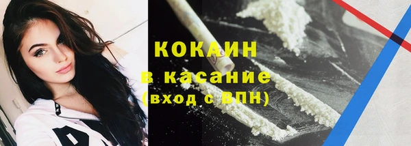 прущая мука Пересвет
