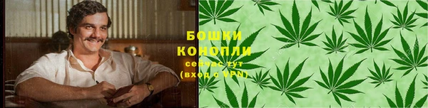 шишки Остров