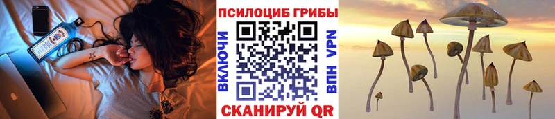Псилоцибиновые грибы мухоморы  ОМГ ОМГ ONION  площадка какой сайт  цена   Катайск 